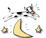 Cow over Moon