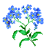 Flower (Forget Me Not)