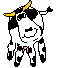 Missus Cow