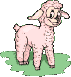Pretty Lamb